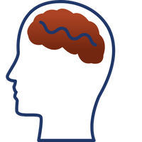 Skill Building Seminars An icon representing a brain learning.